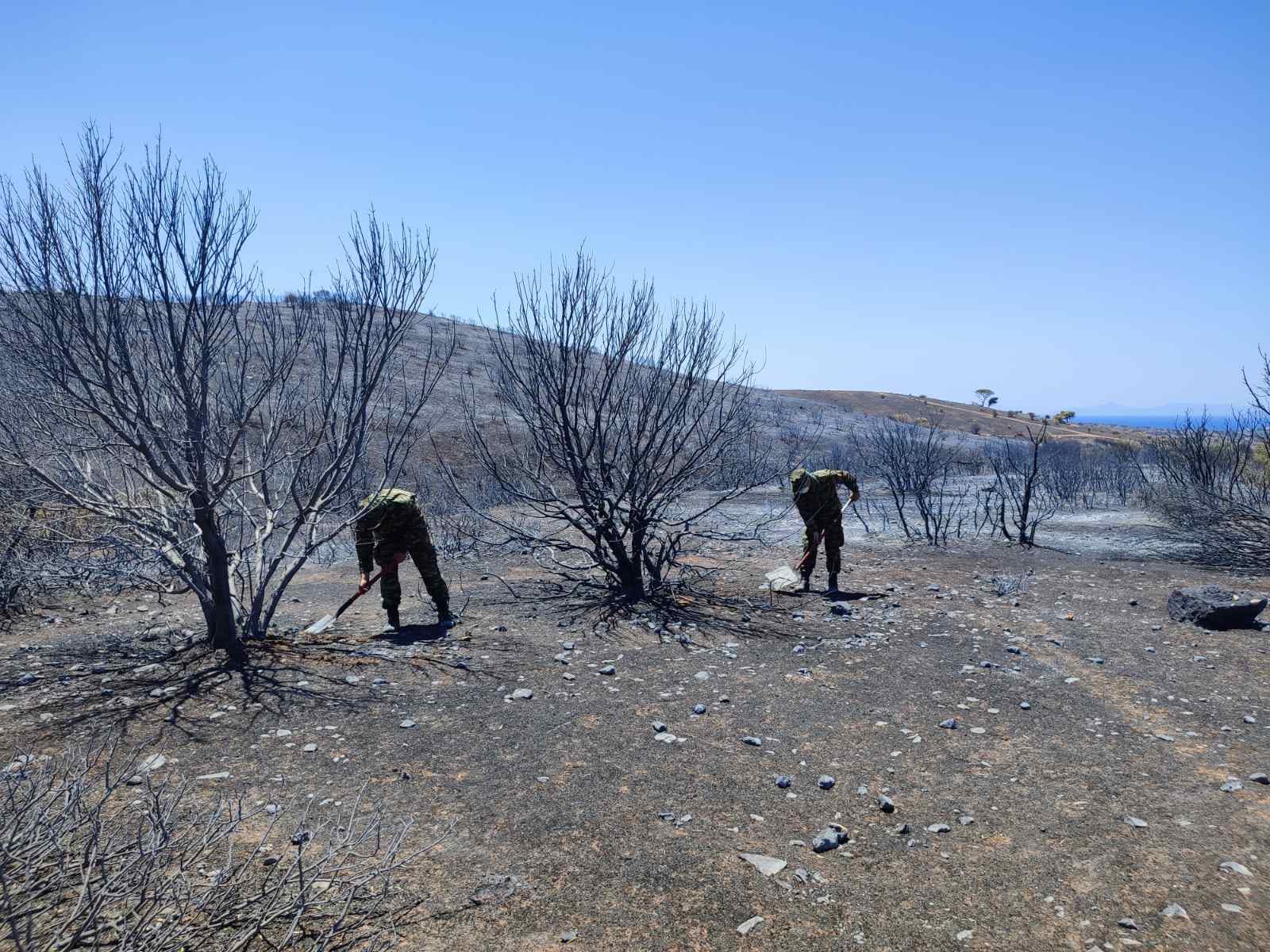Ένοπλες Δυνάμεις Πυρκαγιές