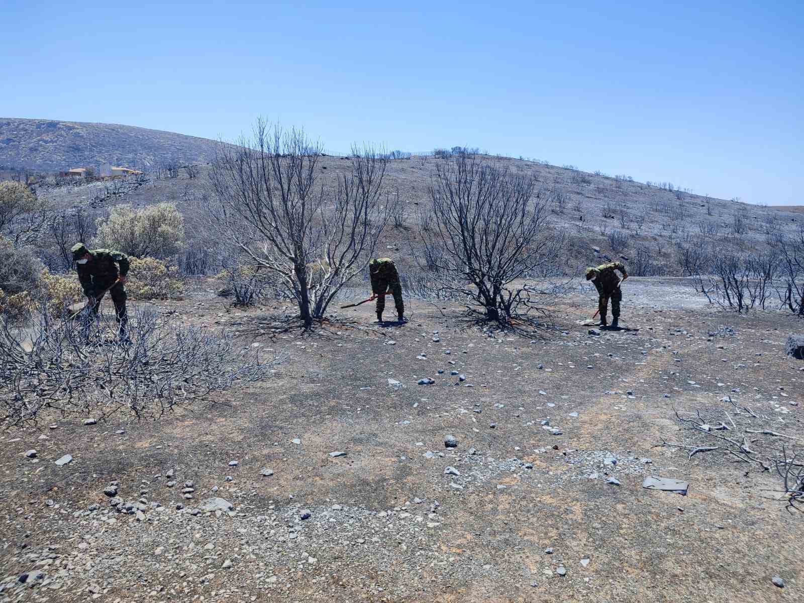 Ένοπλες Δυνάμεις Πυρκαγιές