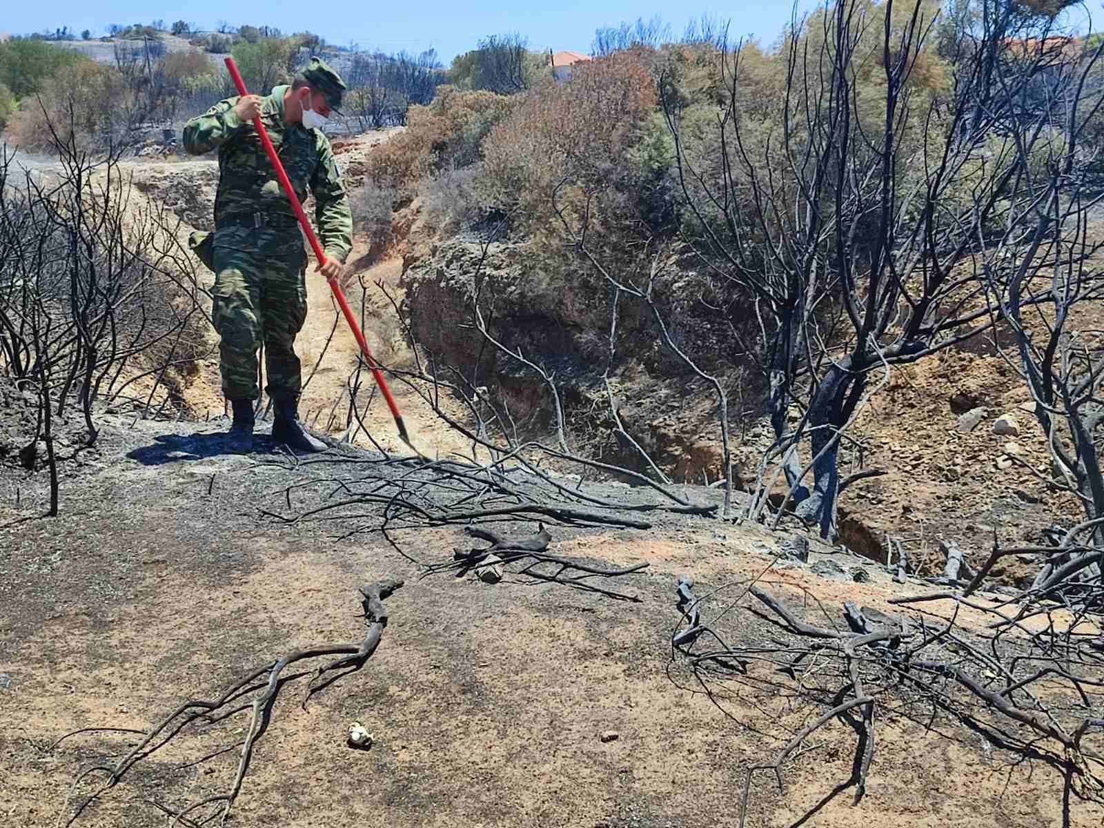 Ένοπλες Δυνάμεις Πυρκαγιές