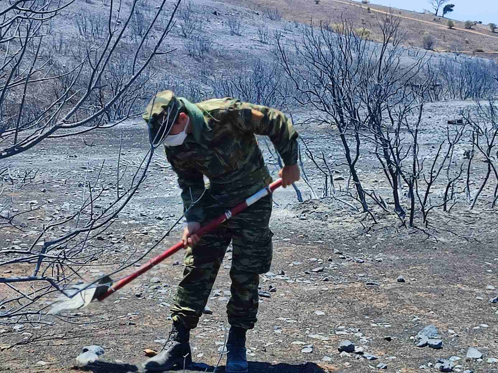 Ένοπλες Δυνάμεις Πυρκαγιές