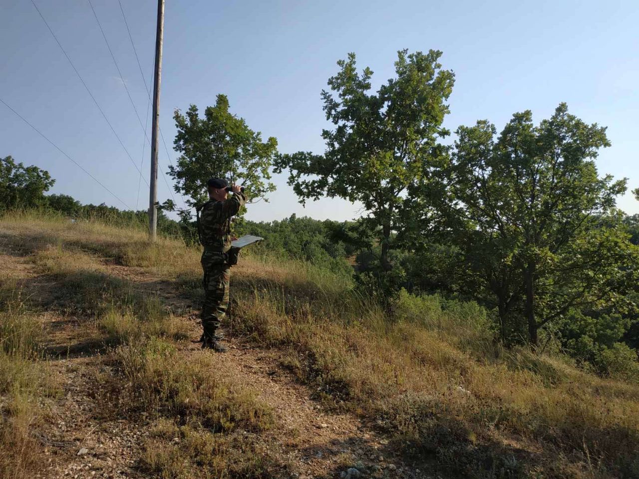 Ένοπλες Δυνάμεις Πυρκαγιές