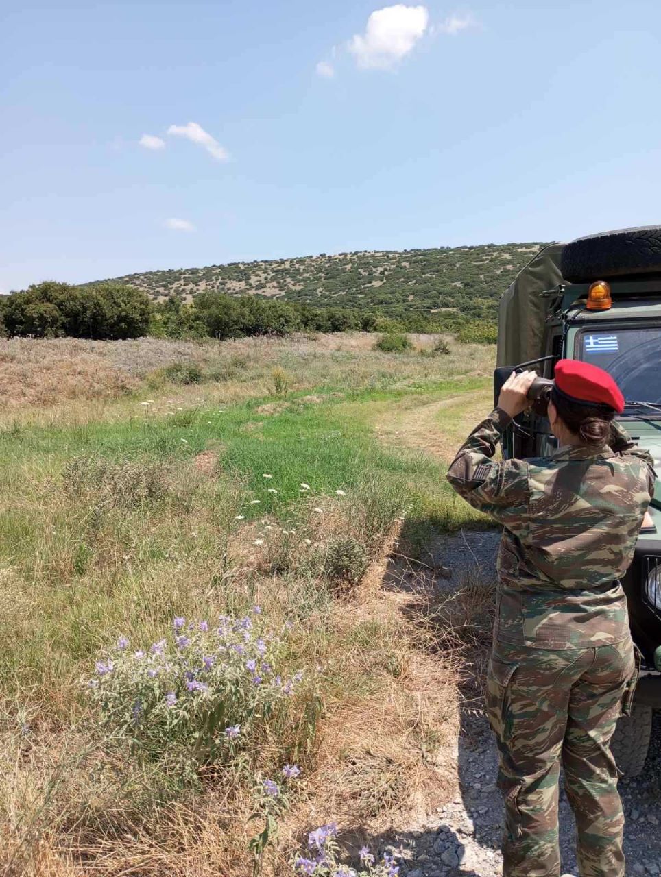 Ένοπλες Δυνάμεις Πυρκαγιές