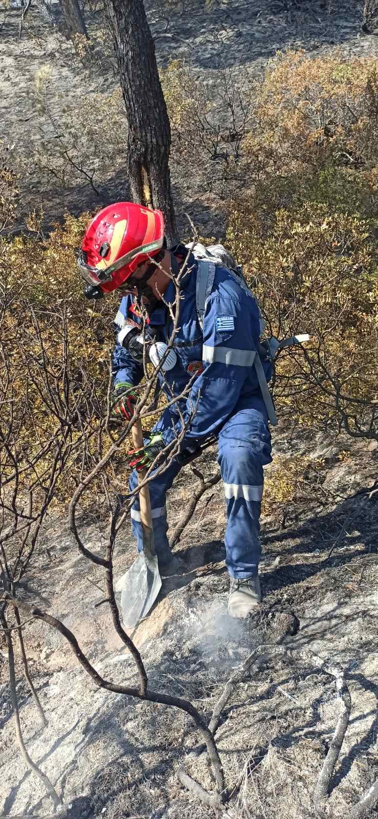 Ένοπλες Δυνάμεις Πυρκαγιές