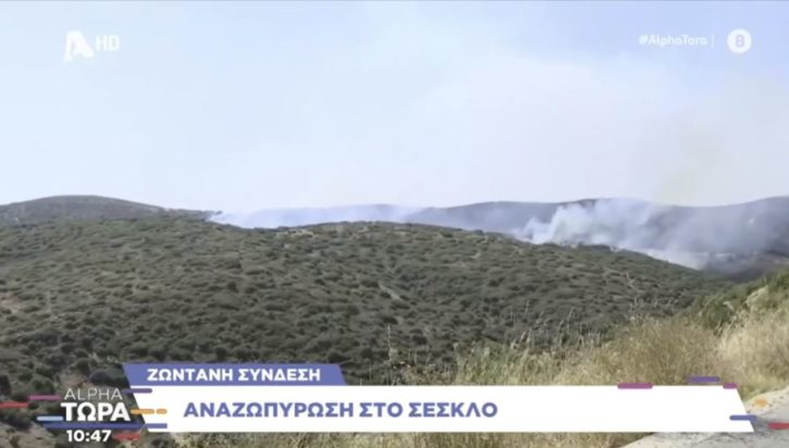 φωτιά Σέσκλο Μαγνησία