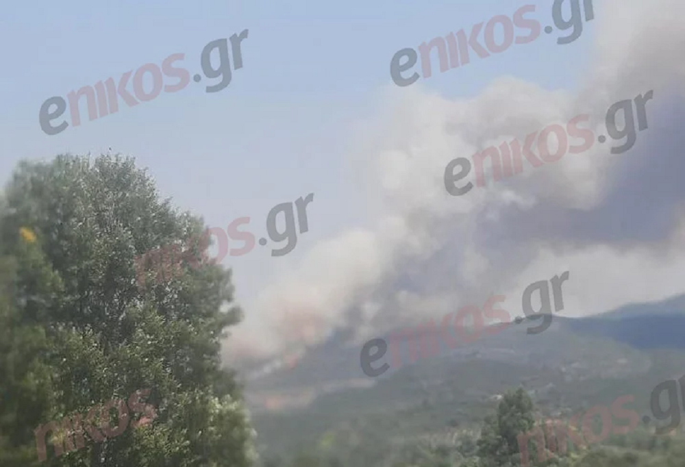 φωτιά στη Λακωνία