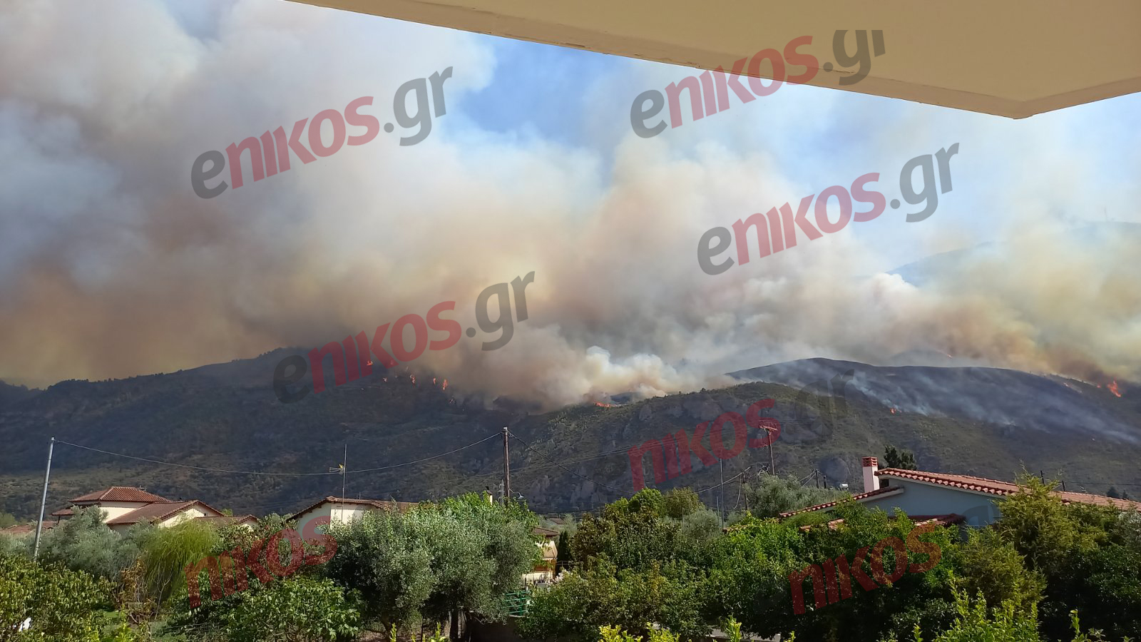 φωτιά Αχαϊα