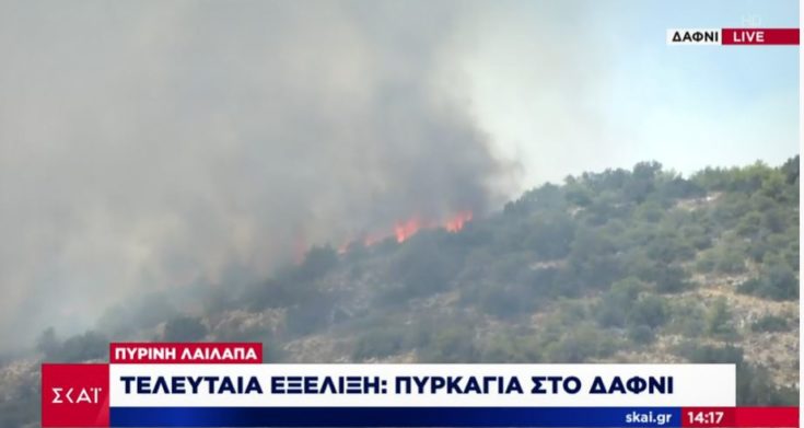 φωτιά Δαφνί