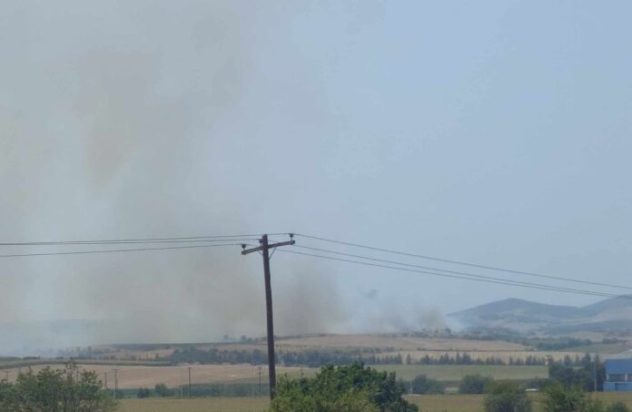 φωτιά Βελεστίνο