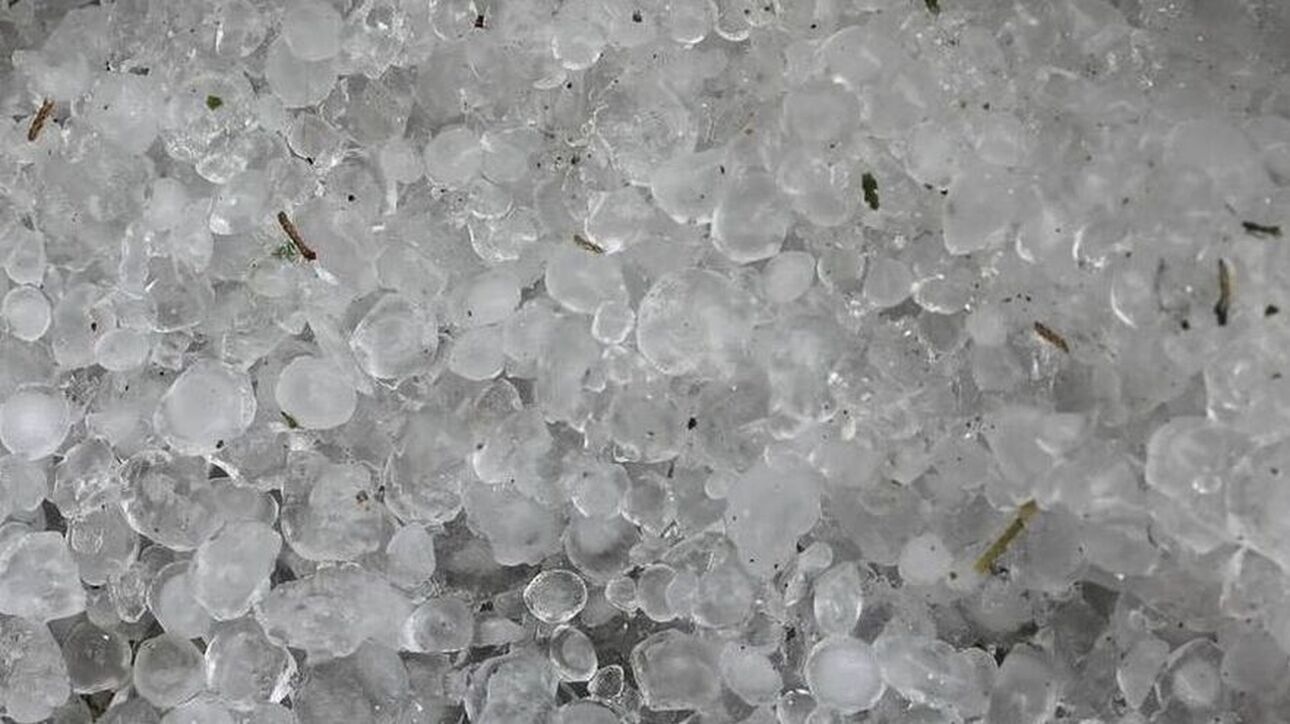 Καρδίτσα: Εκτεταμένες ζημιές σε καλλιέργειες από τις βροχές και το χαλάζι