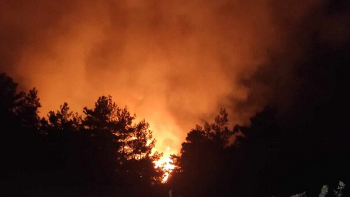 Ιωάννινα: Σύλληψη για φωτιά από πρόθεση σε δασική έκταση