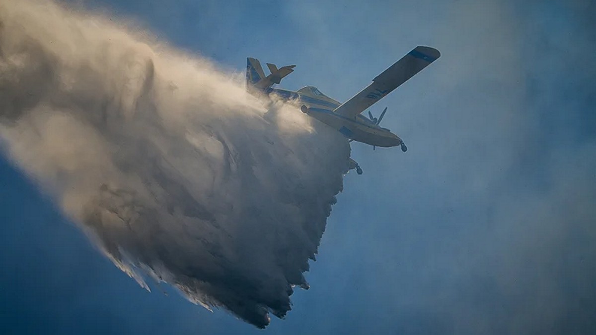 Φωτιές σε Ηλεία και Καστοριά: Βελτιωμένη η εικόνα σε όλα τα μέτωπα – Σε επιφυλακή οι επίγειες δυνάμεις