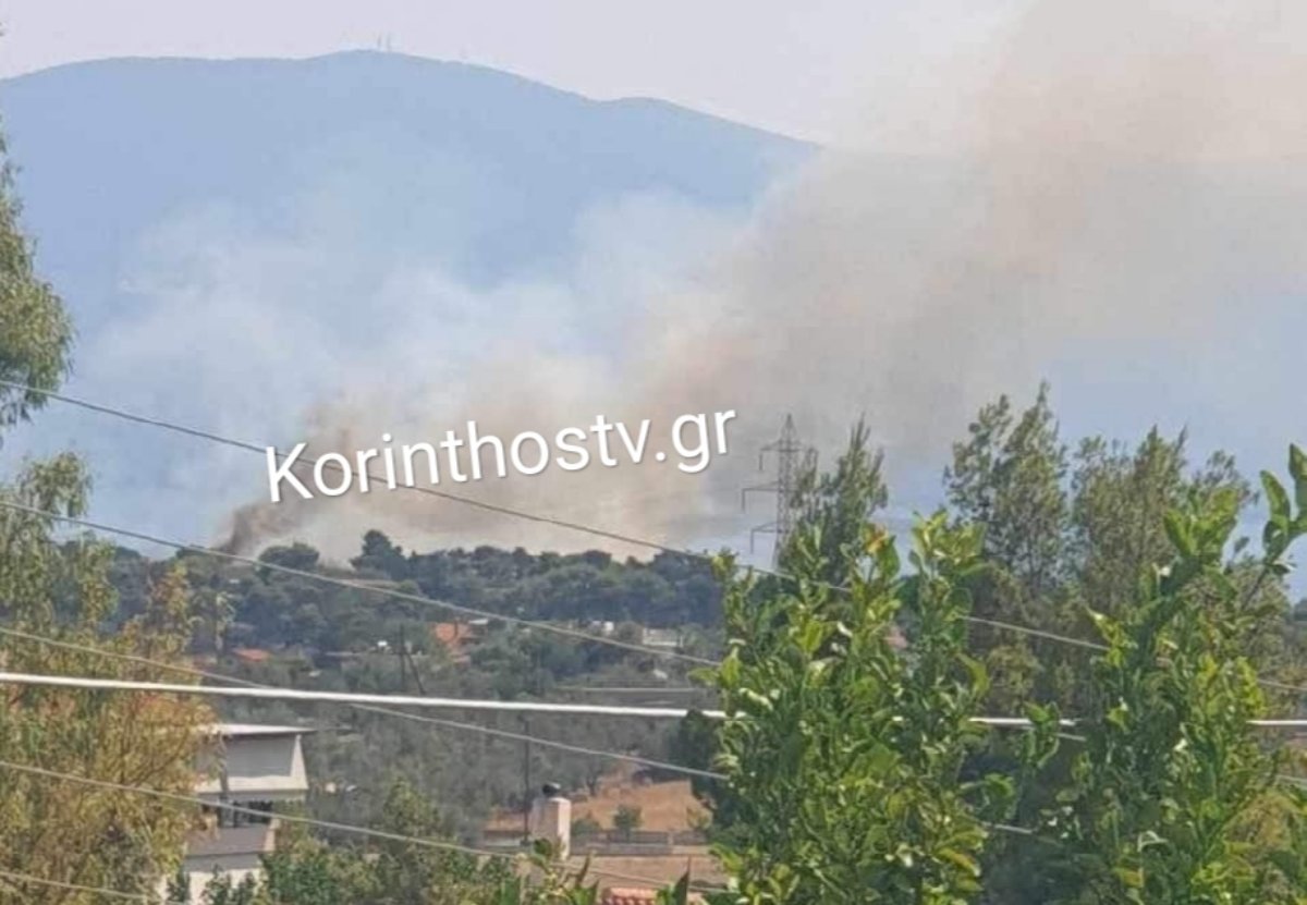 Φωτιά ΤΩΡΑ στους Αγίους Θεοδώρους – Σηκώθηκε ελικόπτερο – ΦΩΤΟ και ΒΙΝΤΕΟ