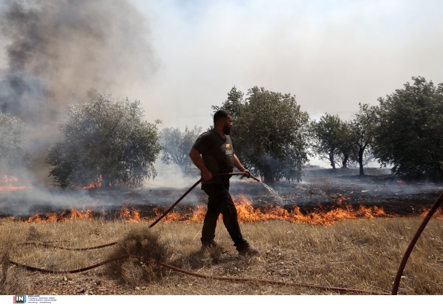 Φωτιά Κουβαράς