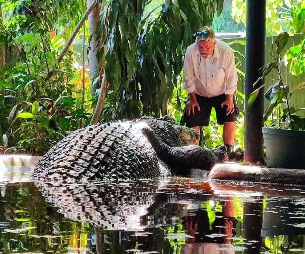 κροκόδειλος