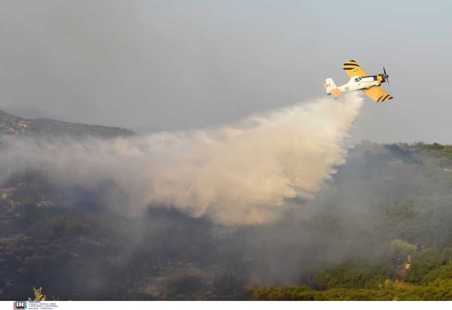 Σε ύφεση η φωτιά στην Λαμία