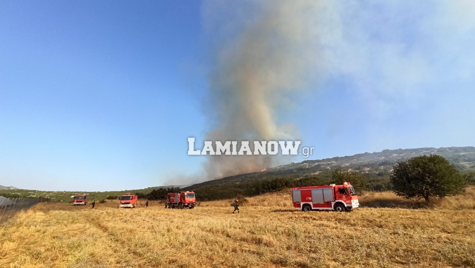 Φωτιά στην Λαμία: Μήνυμα από το 112 για εκκένωση της Αμφιθέας