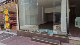 Λαμία τζαμαρία