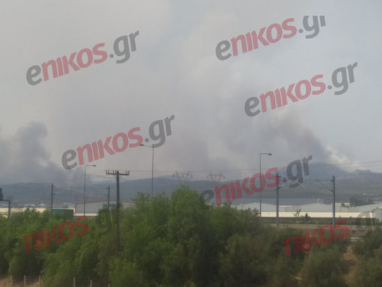 Μάνδρα φωτιά