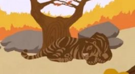 Οπτική ψευδαίσθηση τίγρης