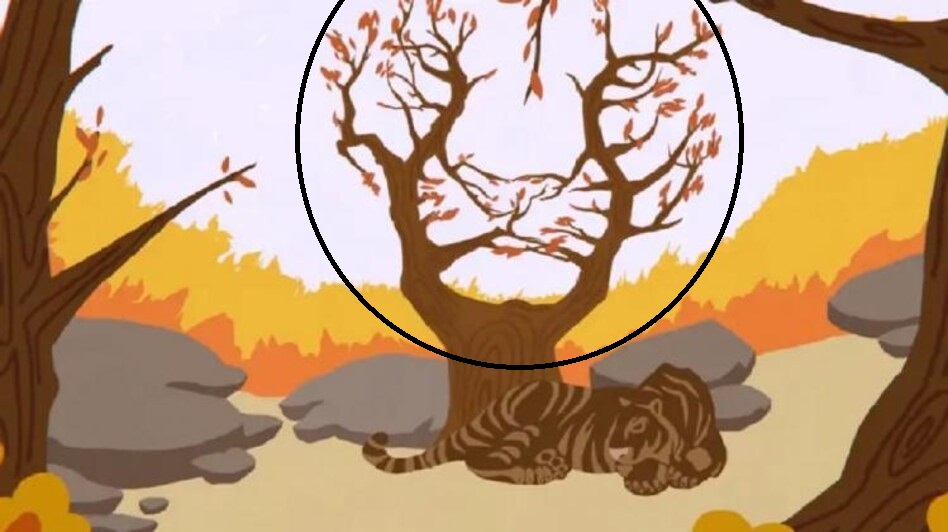 Οπτική ψευδαίσθηση τίγρης λύση