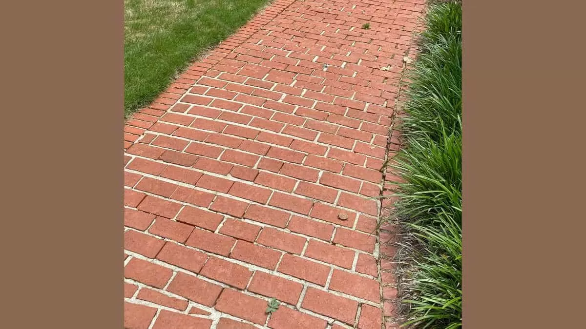 οπτική ψευδαίσθηση