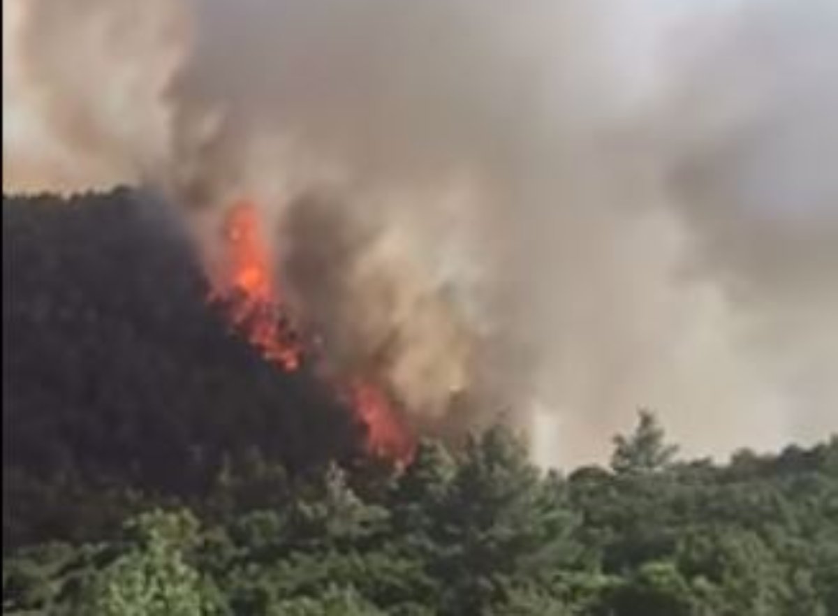 Σε εξέλιξη η φωτιά στα Δερβενοχώρια – Μήνυμα από το 112 στους κατοίκους – ΦΩΤΟ και ΒΙΝΤΕΟ