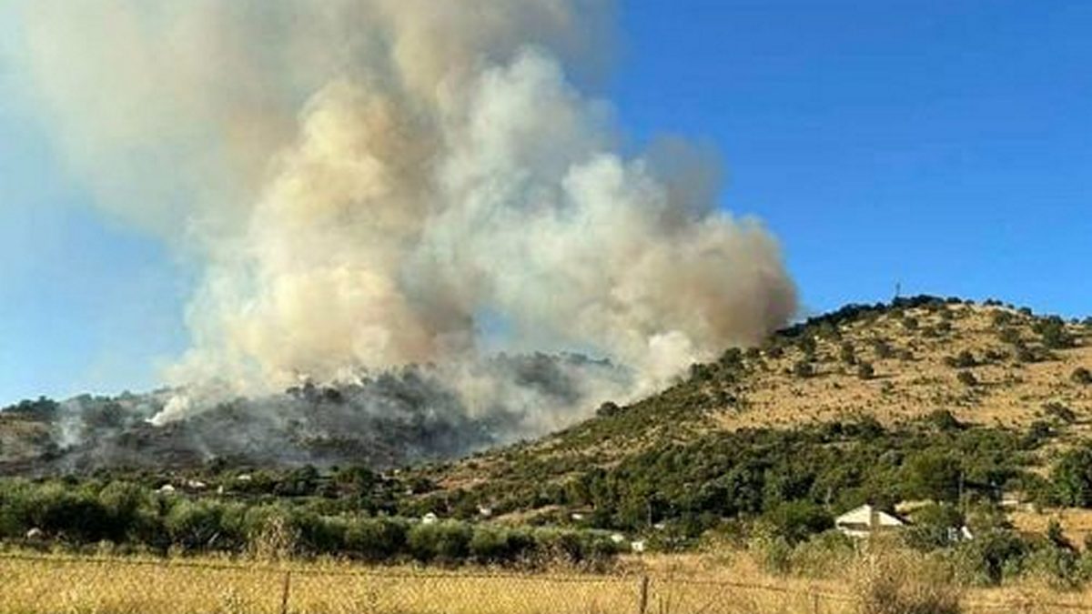 Θεσσαλονίκη: Πρόστιμα για πυρκαγιά σε ξερά χόρτα και θερμές εργασίες από την Πυροσβεστική