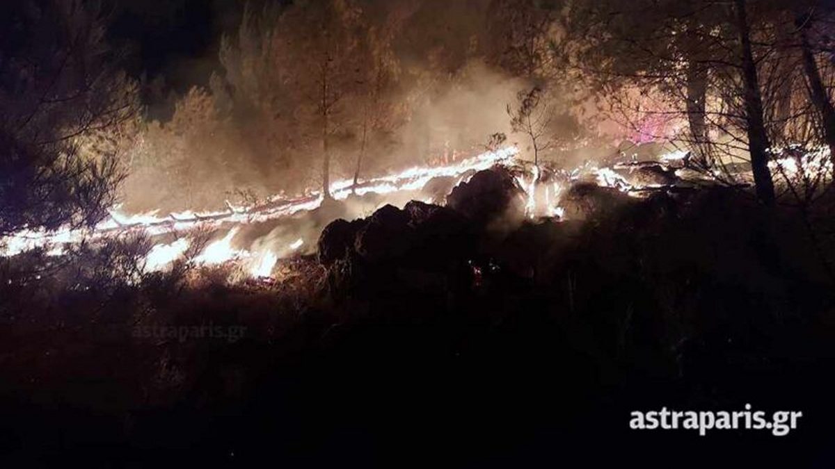 Χίος: Εκτός ελέγχου η φωτιά – Μήνυμα 112 για εκκένωση των περιοχών Διευχά και Κατάβαση – Ενισχύονται οι δυνάμεις