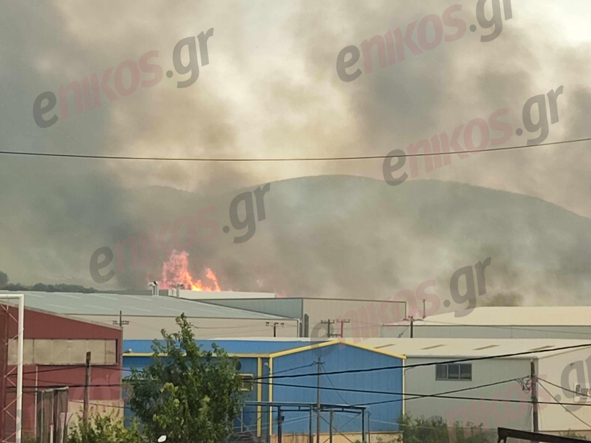 Φωτιά στον Βόλο