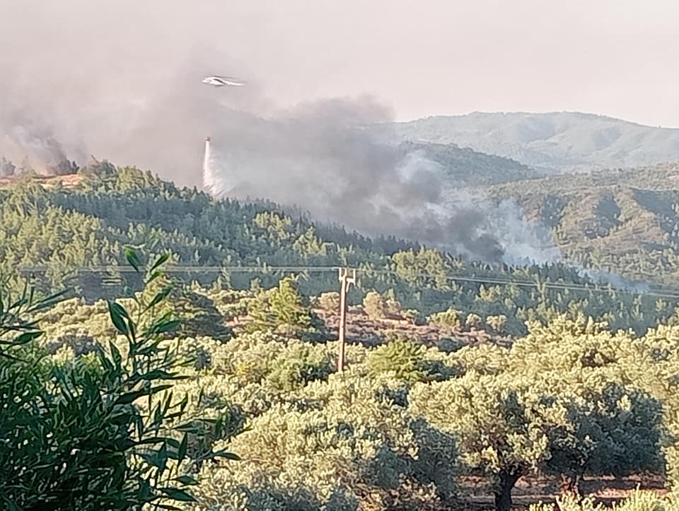 Φωτιά Ρόδος