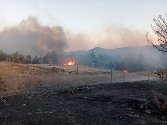 Ρόδος φωτιά