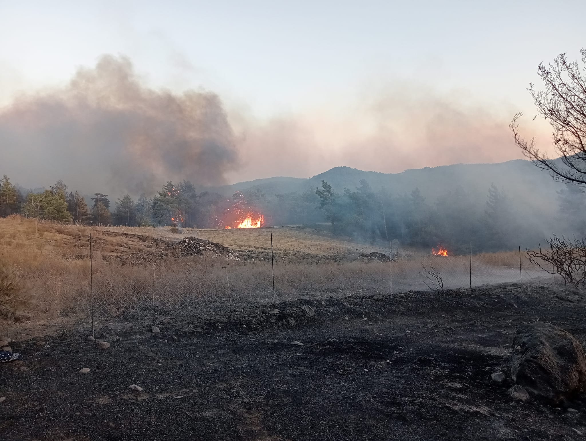 Ρόδος φωτιά