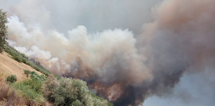 Ρόδος φωτιά