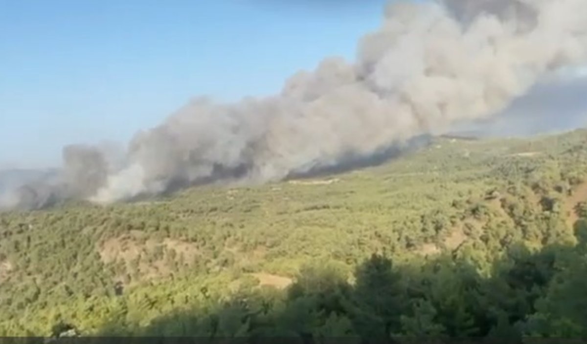 Φωτιά στην Ρόδο: Μάχη με τις αναζωπυρώσεις – «Προσευχόμαστε για να μην φτάσει στο χωριό στα Λάερμα»