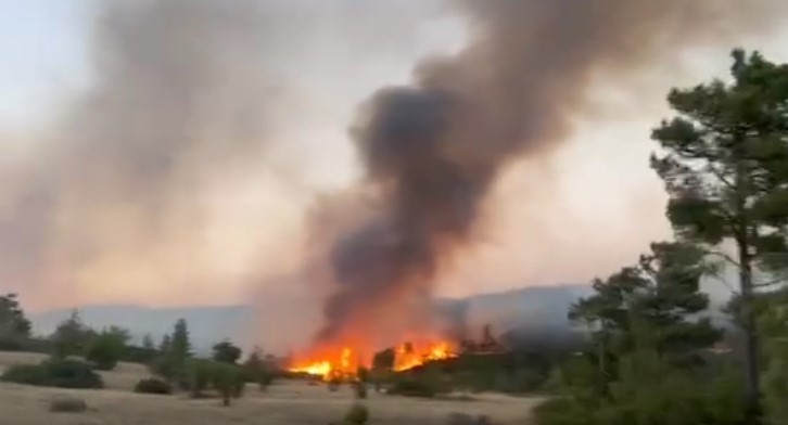 Θεσσαλονίκη: Υπό μερικό έλεγχο η φωτιά στον Προφήτη της Βόλβης