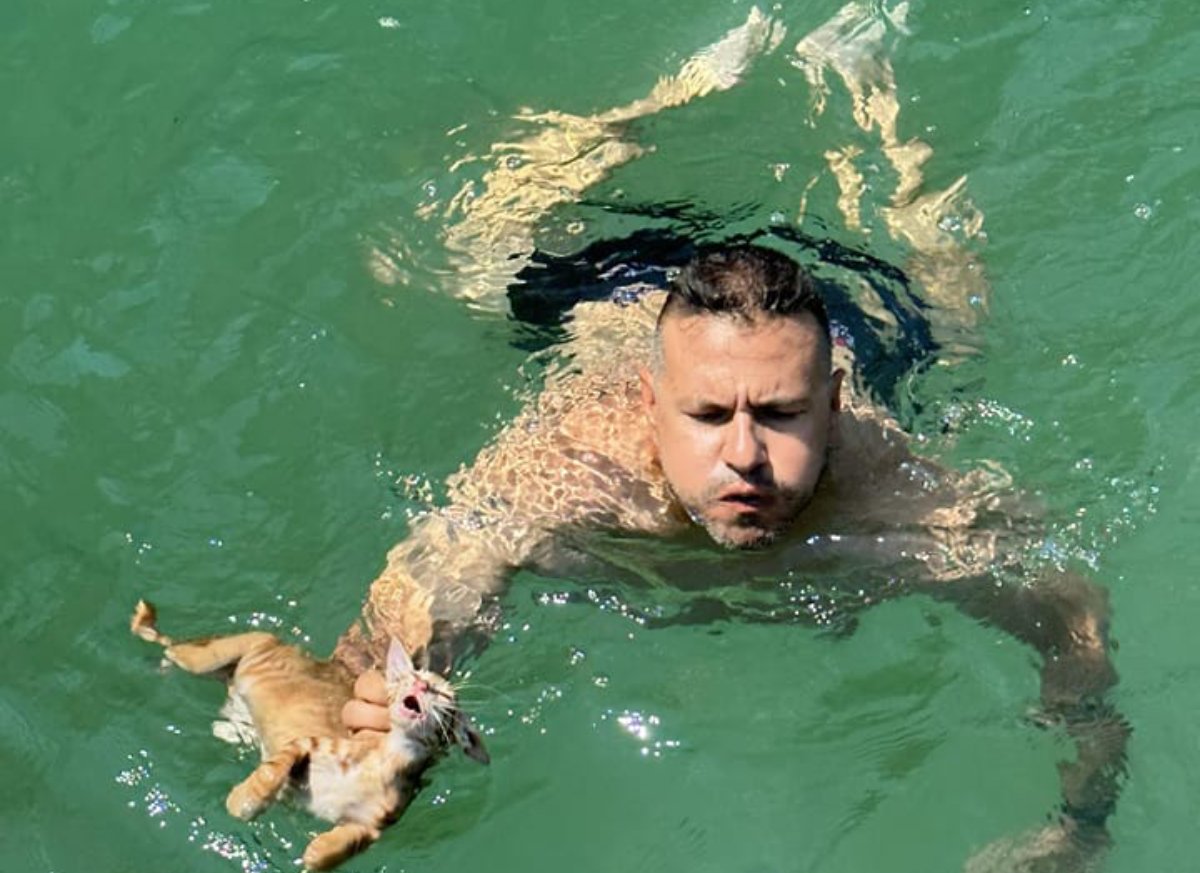 Σαλαμίνα: «Ήταν τρομαγμένο, έτρεμε ολόκληρο» – Τι λέει στο enikos.gr ο ναυτικός που συμμετείχε στη διάσωση του γατιού