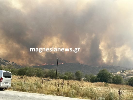 Βελεστίνο Μαγνησία φωτιά