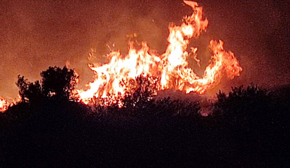 Φωτιά στη Βλυχάδα: «Αν περάσει το δρόμο χαθήκαμε» – Μάχη για να μη περάσουν οι φλόγες σε πυκνοκατοικημένες περιοχές της Ν. Περάμου