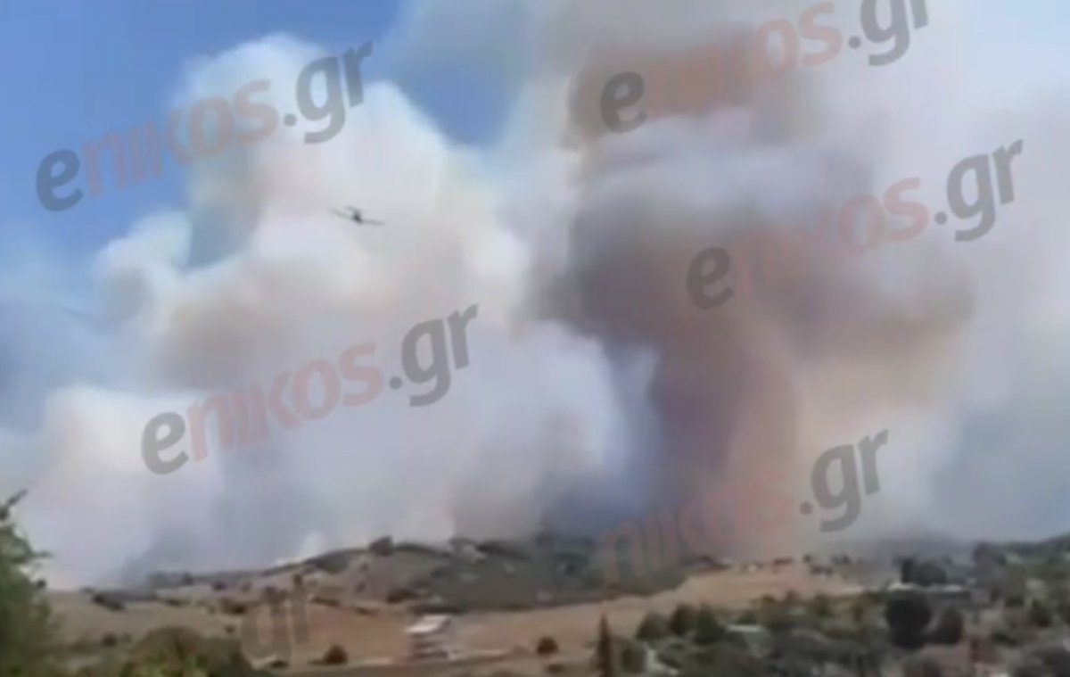 Φωτιά στο Καπαρέλλι Βοιωτίας – ΒΙΝΤΕΟ αναγνώστη