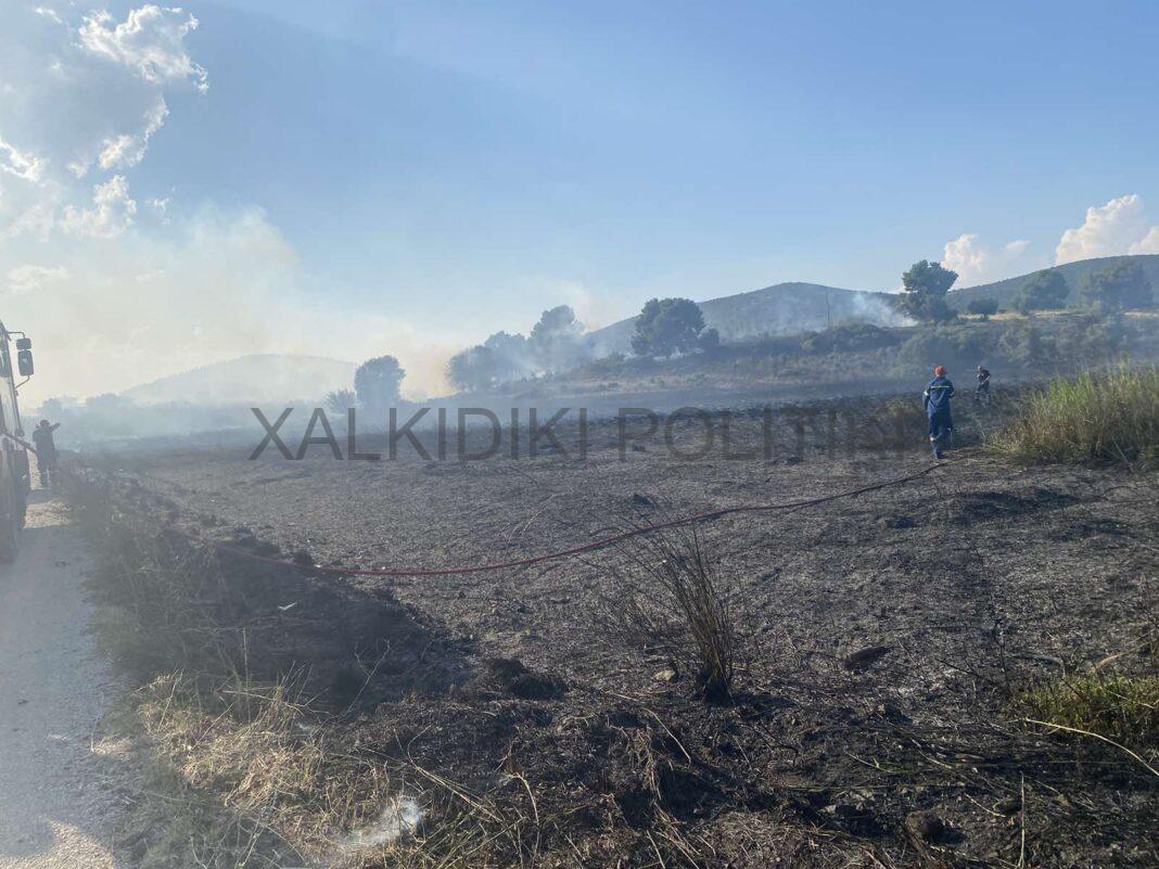 Φωτιά στη Χαλκιδική