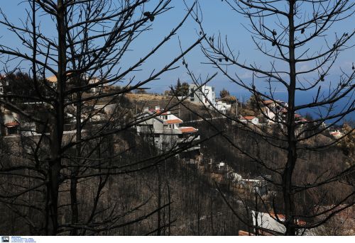 Φωτιές – Ιούλιος: Καταγράφηκαν τα υψηλότερα επίπεδα καμένων εκτάσεων των τελευταίων 13 ετών στην Ελλάδα