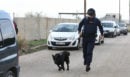 Επιχείρηση της ΕΛ.ΑΣ. για την εξάρθρωση εγκληματικής οργάνωσης που εξαπατούσε πολίτες - 7 συλλήψεις μέχρι στιγμής