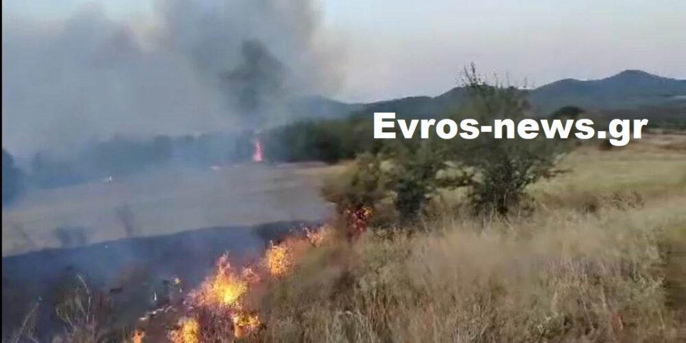φωτιά Μέλια Αλεξανδρούπολης