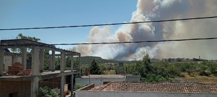 ψαχνά Εύβοια φωτιά