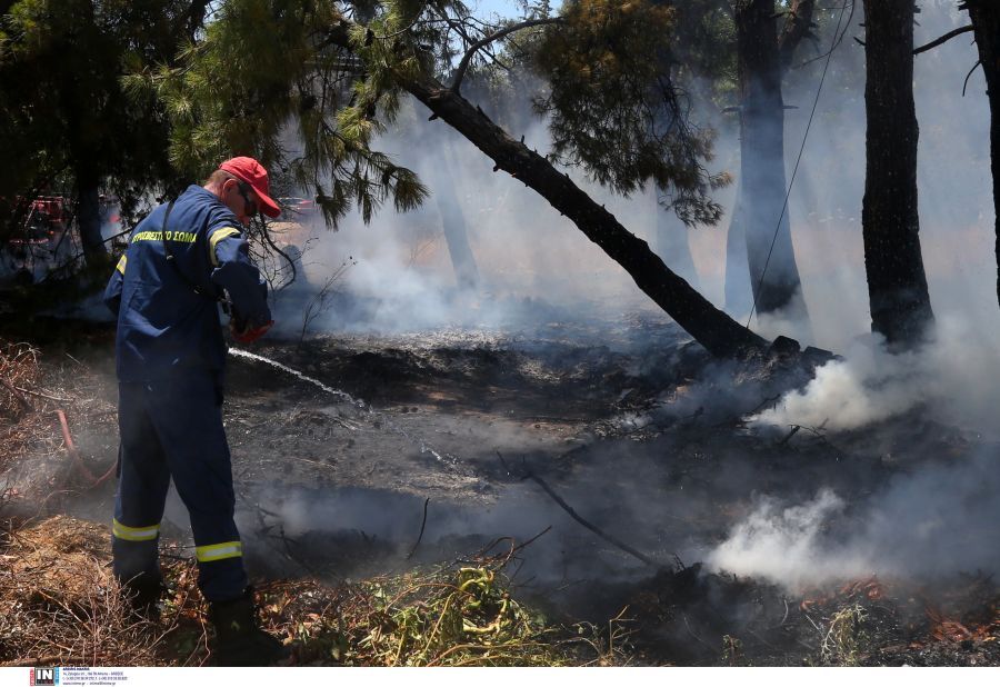 Χαλκιδική: Πού απαγορεύεται η κυκλοφορία αύριο Σάββατο, λόγω του κινδύνου πυρκαγιάς