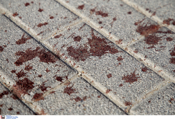 Νέα Φιλαδέλφεια