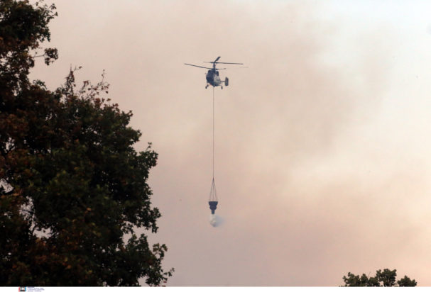 Φωτιά Αλεξανδρούπολη