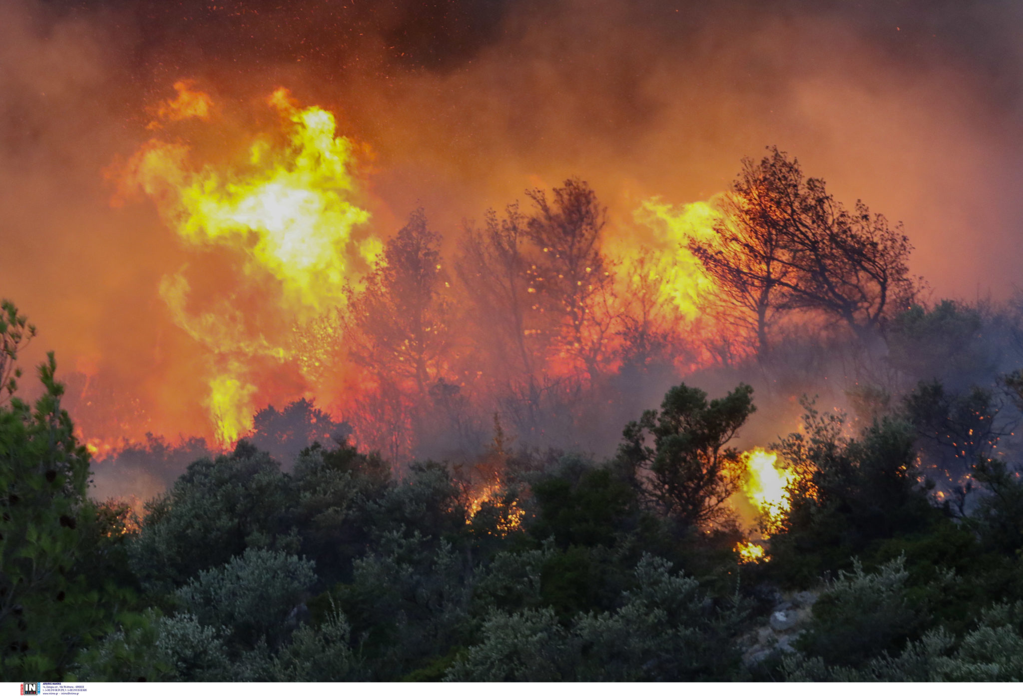 Φωτιά Πάρνηθα