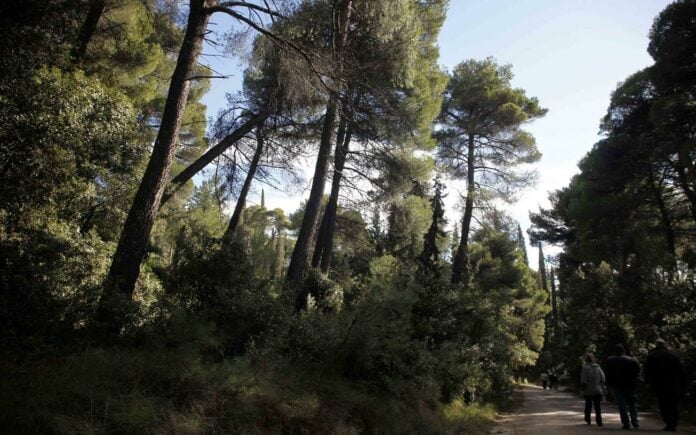Απαγόρευση κυκλοφορίας σε δασικές περιοχές της Αλεξανδρούπολης και του Σουφλίου λόγω υψηλού κινδύνου πυρκαγιάς