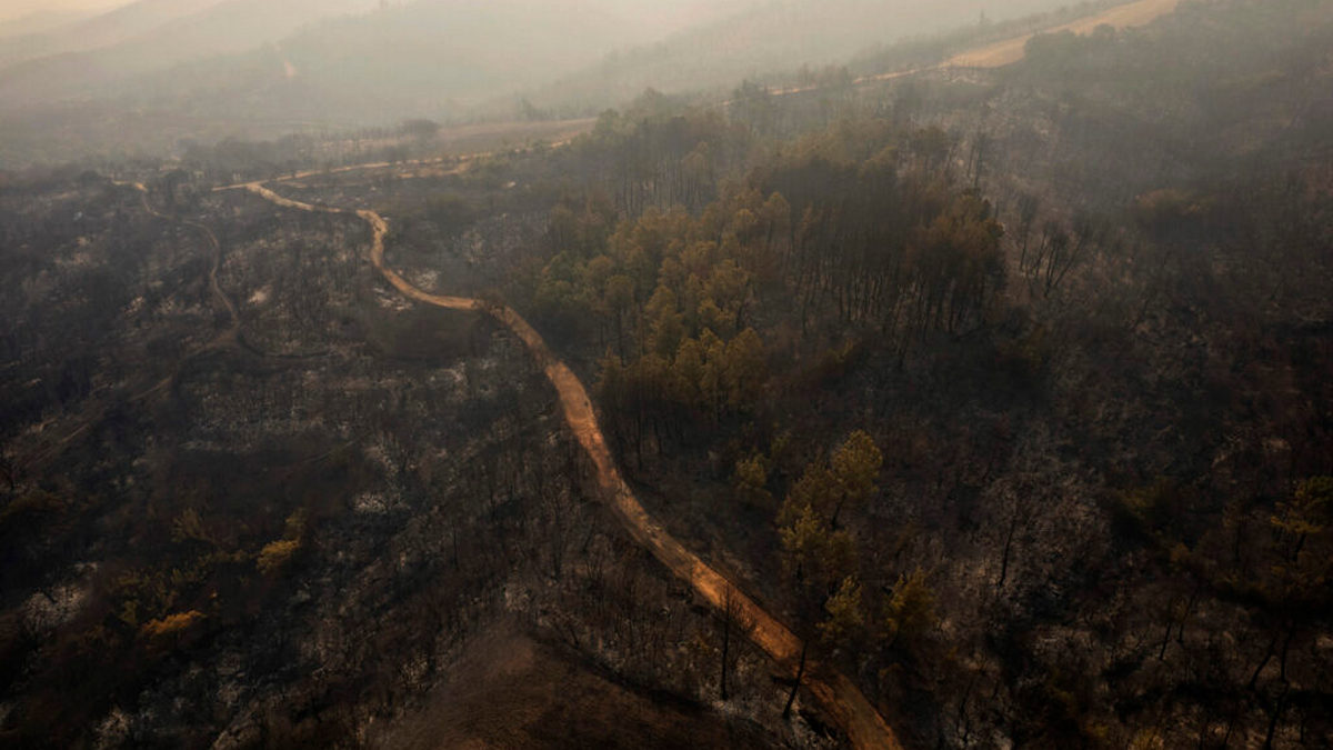 Πολιτική Προστασία: Πού υπάρχει μεγάλος κίνδυνος για φωτιές σήμερα 22 Αυγούστου – Δείτε τον χάρτη